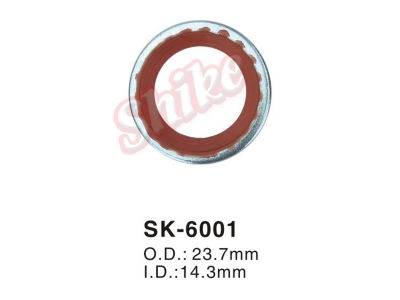 SK-6001